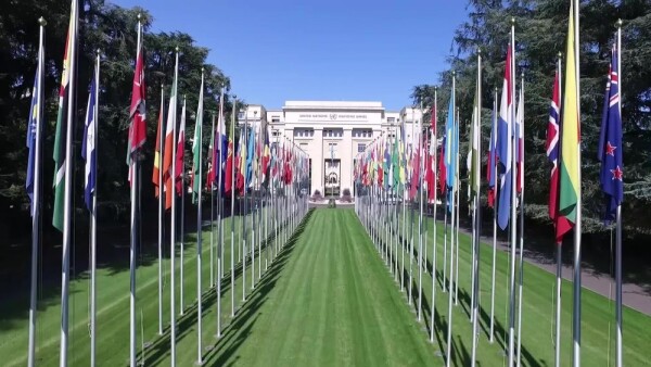 UNOG - Building and flags views B-roll