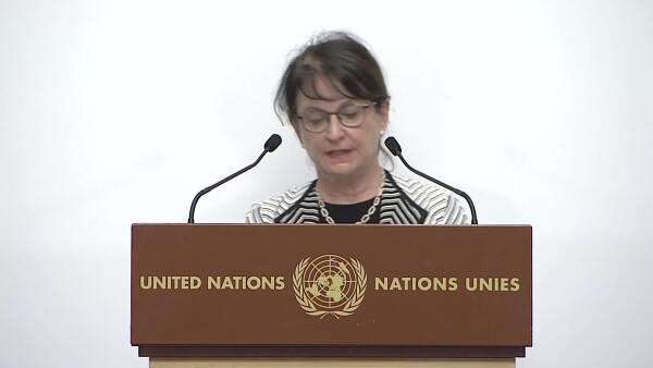 Afghanistan Conference 24 November 2020