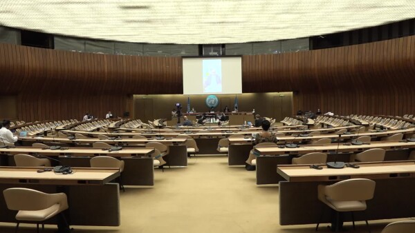 UN High Commissioner For Human Rights - Pandemic Report