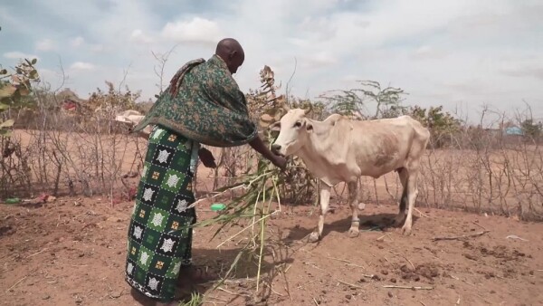 Bi-Weekly Press Briefing: Horn Of Africa Drought / WFP - UNICEF