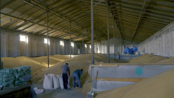 Ukraine farming plummets due to war - FAO