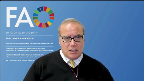 UN Geneva press briefing - 02 February 2024