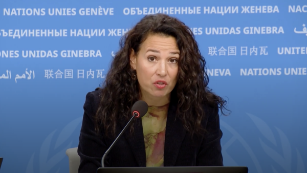 UN Human Rights briefing by Martha Hurtado on Irak