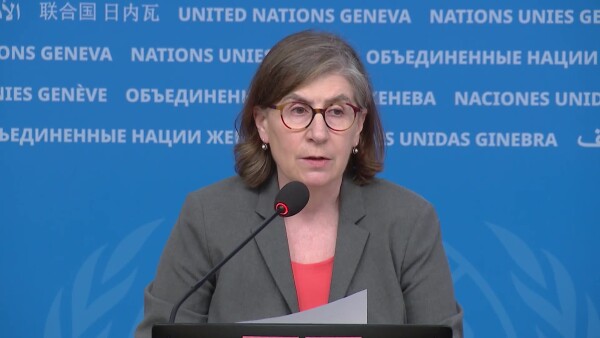 UN Human Rights raises human rights concerns about deportations from the United States of America