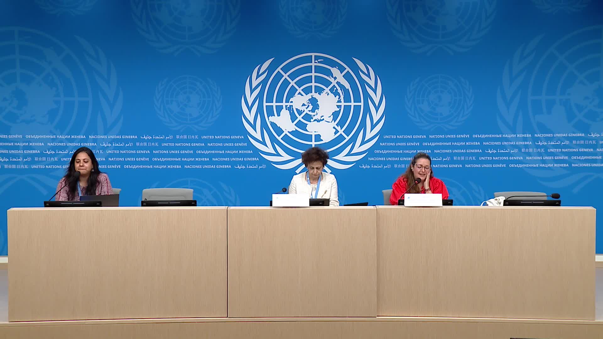 OHCHR/Special Procedures - Press Conference: Elections in the digital age - 19 June 2025