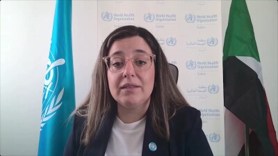 Sudan cholera update WHO - UNICEF