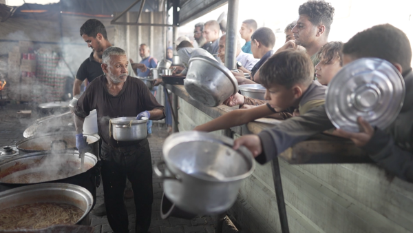 Gaza food aid update - WFP