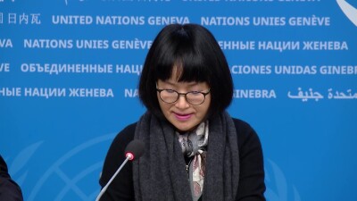 Influenza new variant - WHO