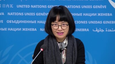 Influenza new variant - WHO