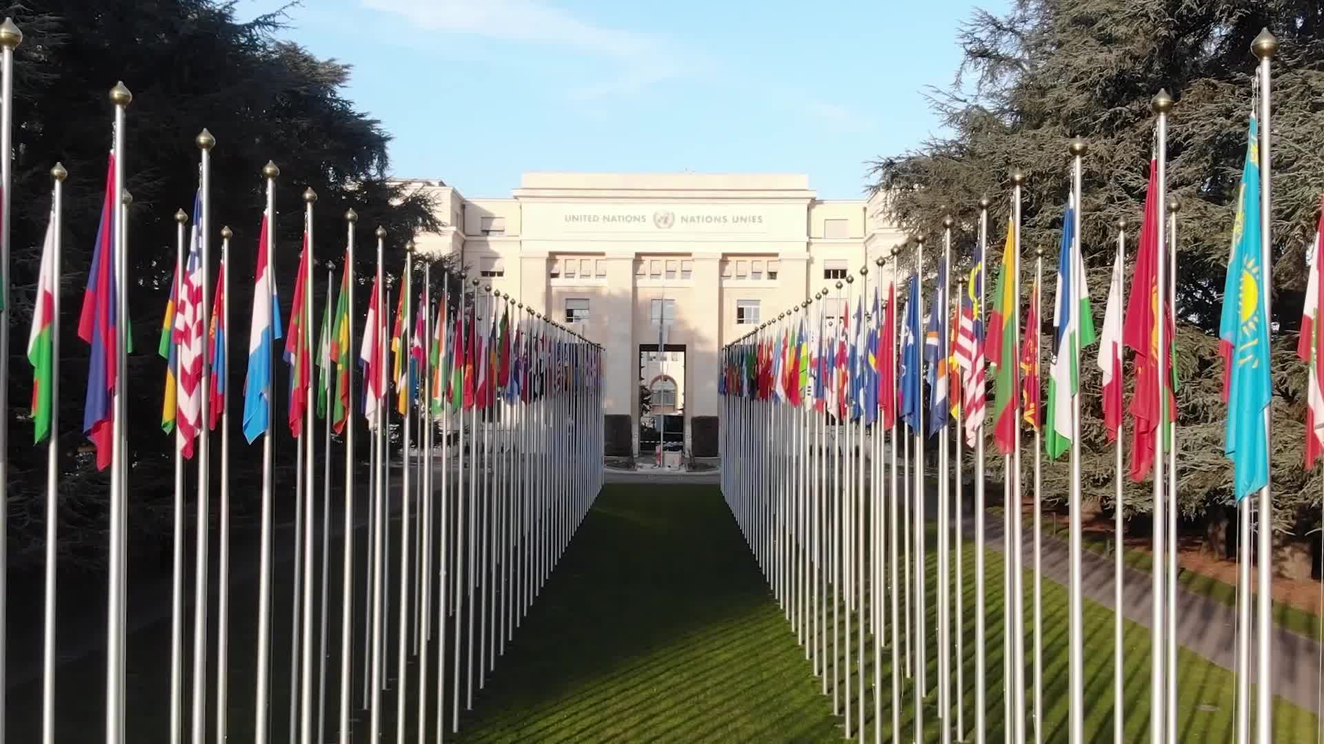 UN Human Rights Press conference with Peggy Hicks on protection of children online