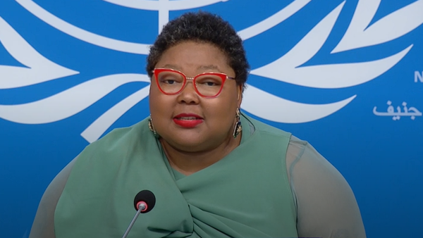 OHCHR - Press Conference: Special Rapporteur on the right to health