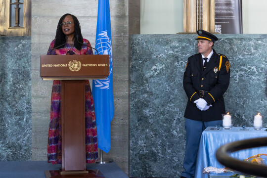 World Humanitarian Day - 19 August 2026