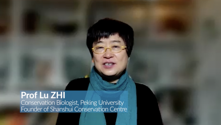  Prof Lu ZHI, China 