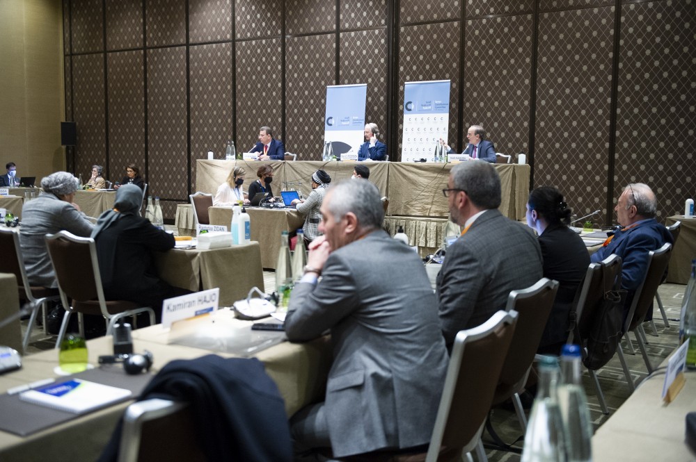  Syrian Constitutional Committee 