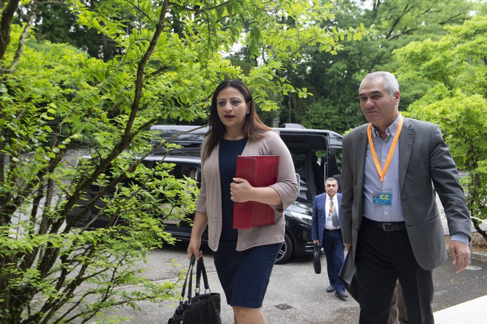 Syrian Constitutional Committee 