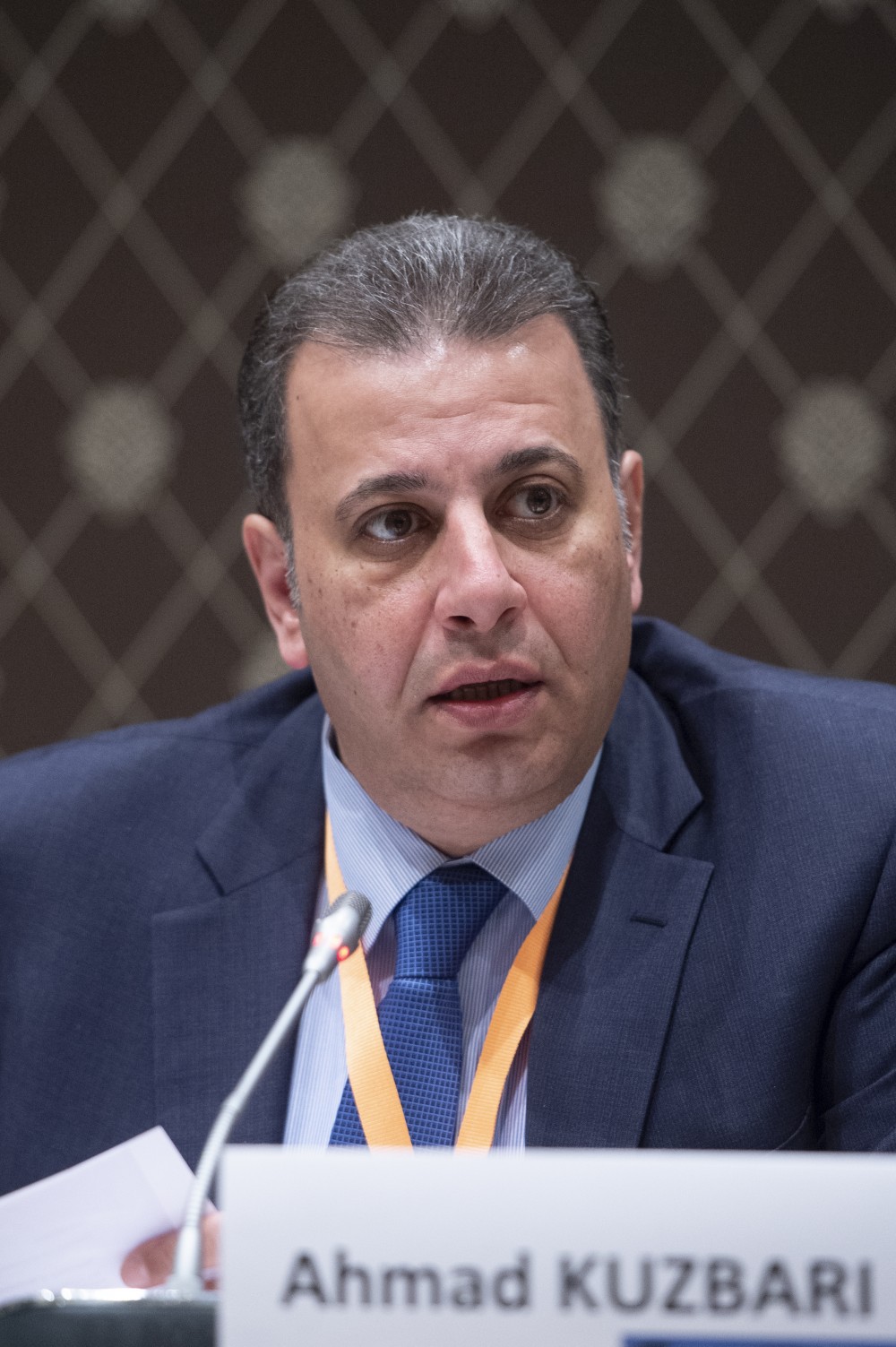  Syrian Constitutional Committee 