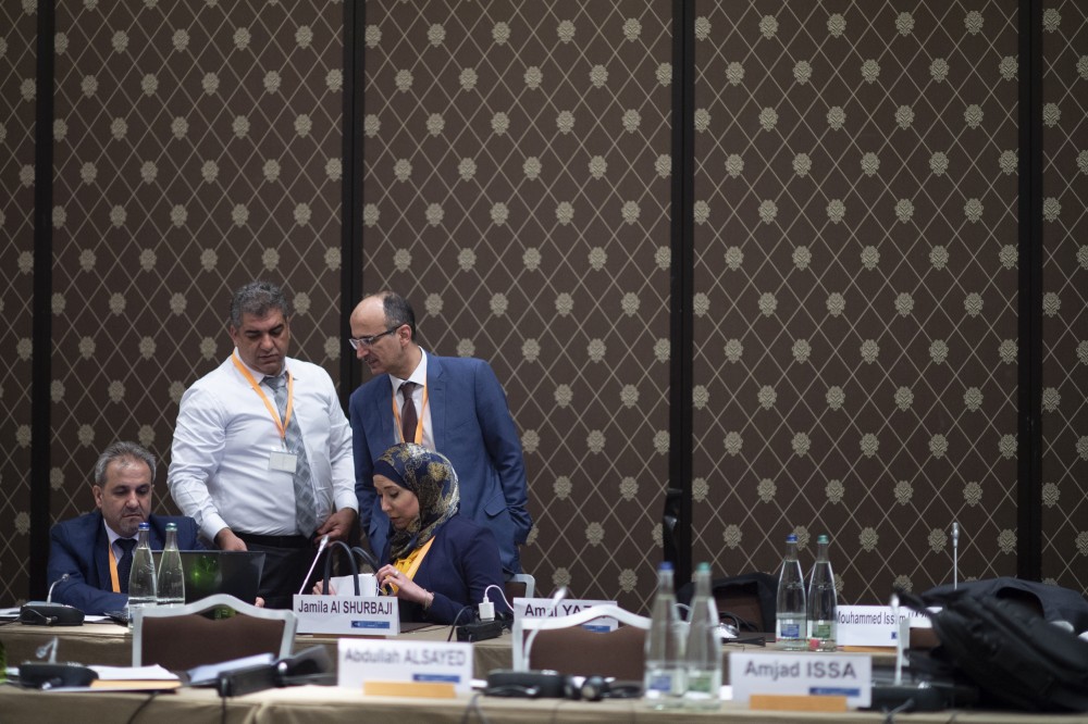  Syrian Constitutional Committee 