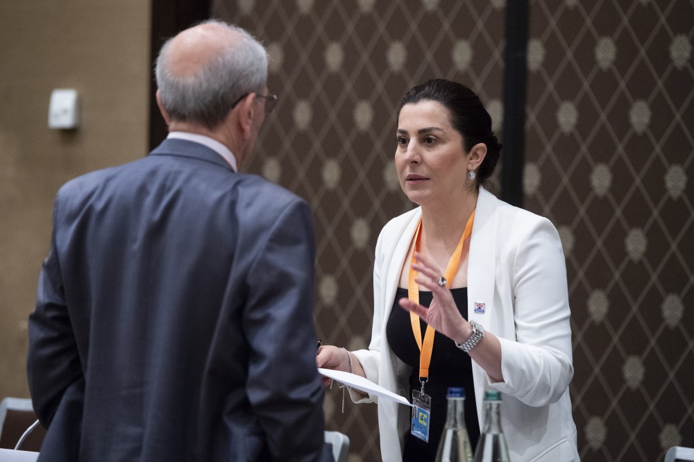  Syrian Constitutional Committee 