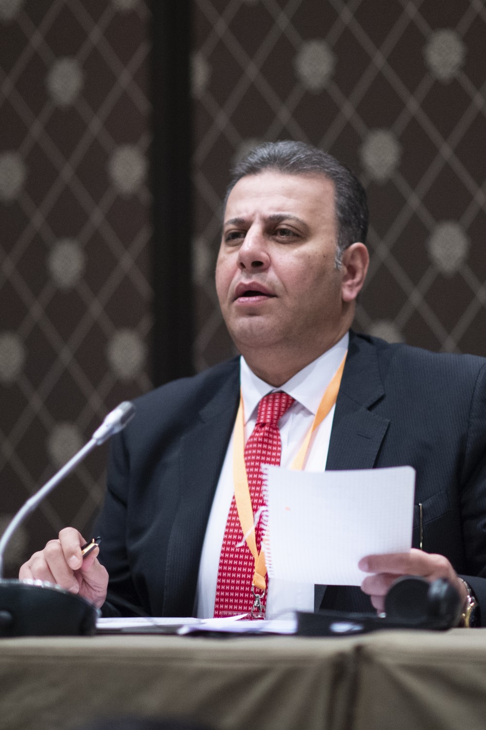  Syrian Constitutional Committee 
