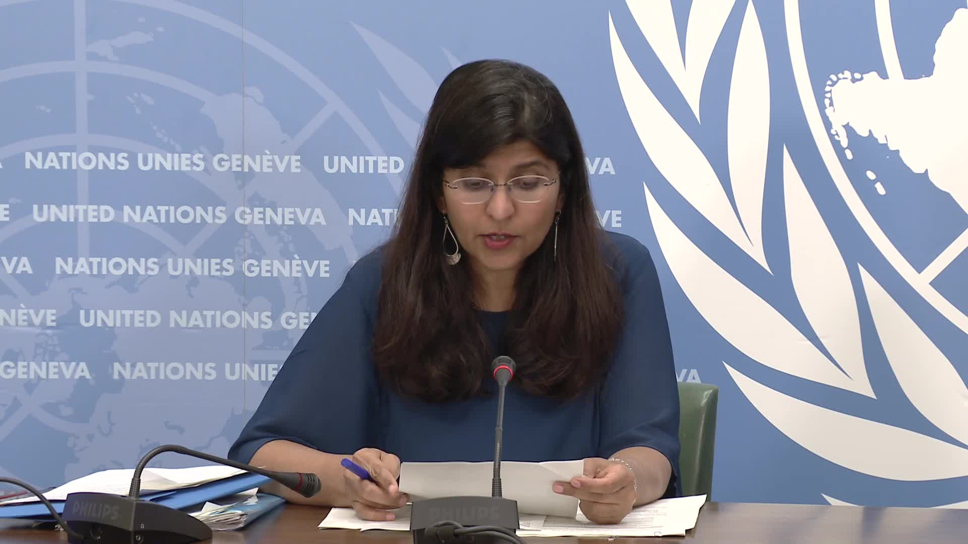UN Human Rights briefing Ravina Shamdasani on OPT
