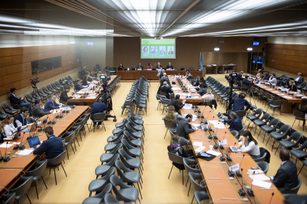  United Nations International  Media Seminar on Peace in the Midd 