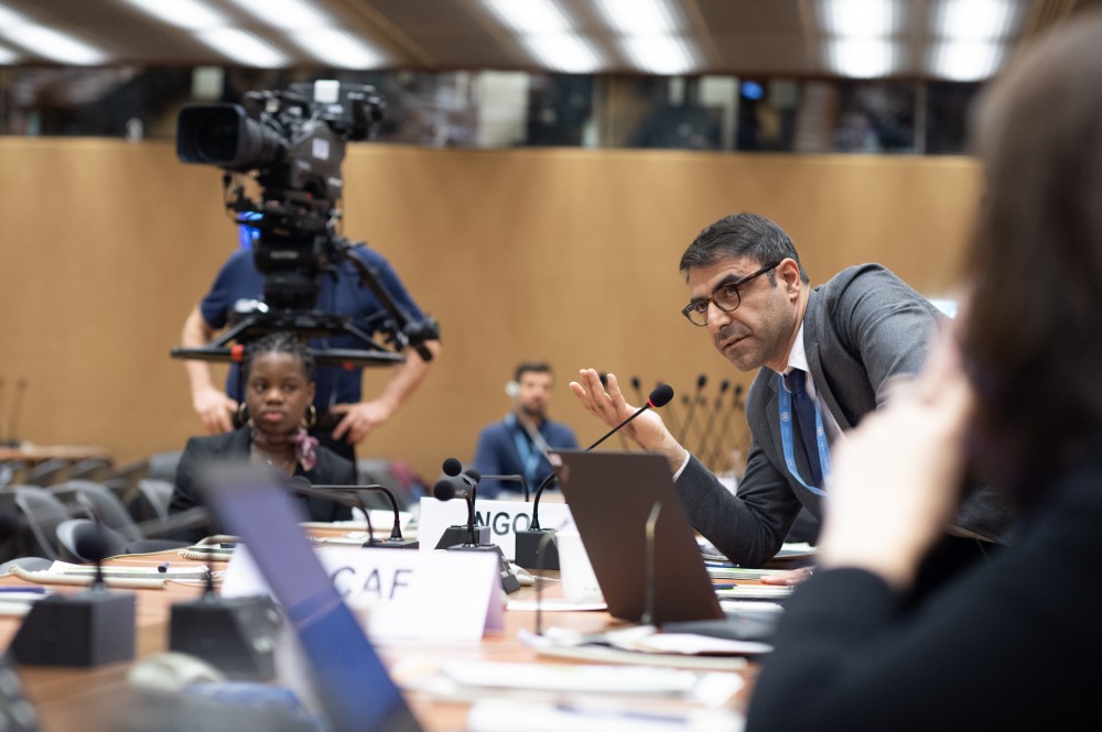  United Nations International  Media Seminar on Peace in the Midd 