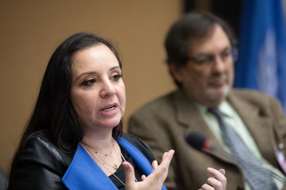  United Nations International Media Seminar on Peace in the Middl 