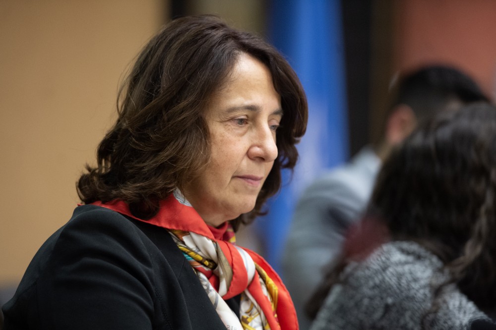  United Nations International Media Seminar on Peace in the Middl 