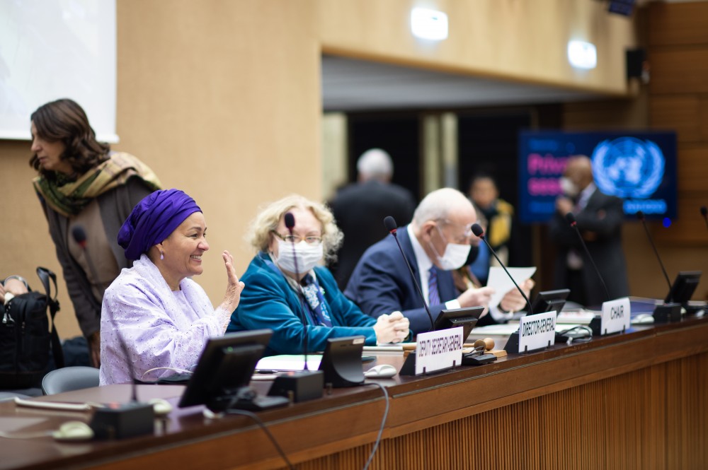  DSG Executive Briefing with Member States 