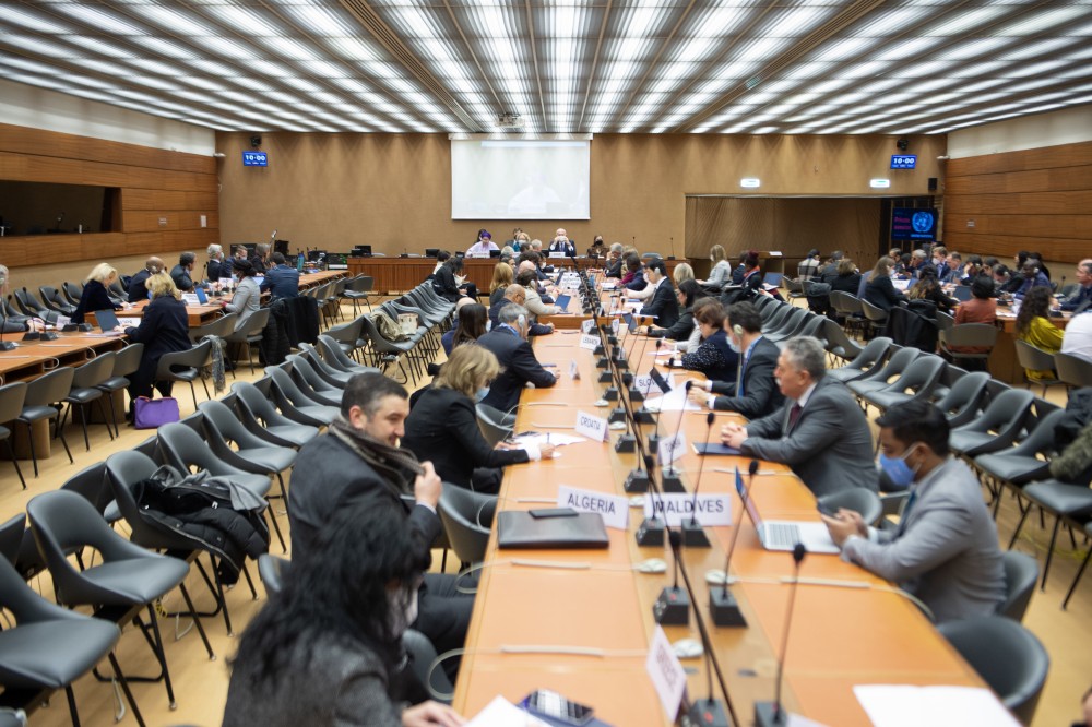  DSG Executive Briefing with Member States 
