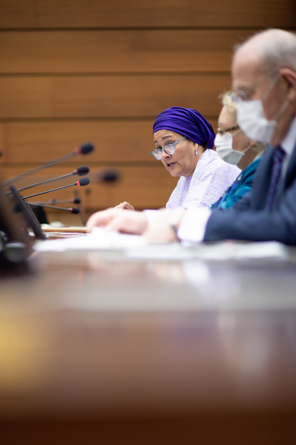 DSG Executive Briefing with Member States 
