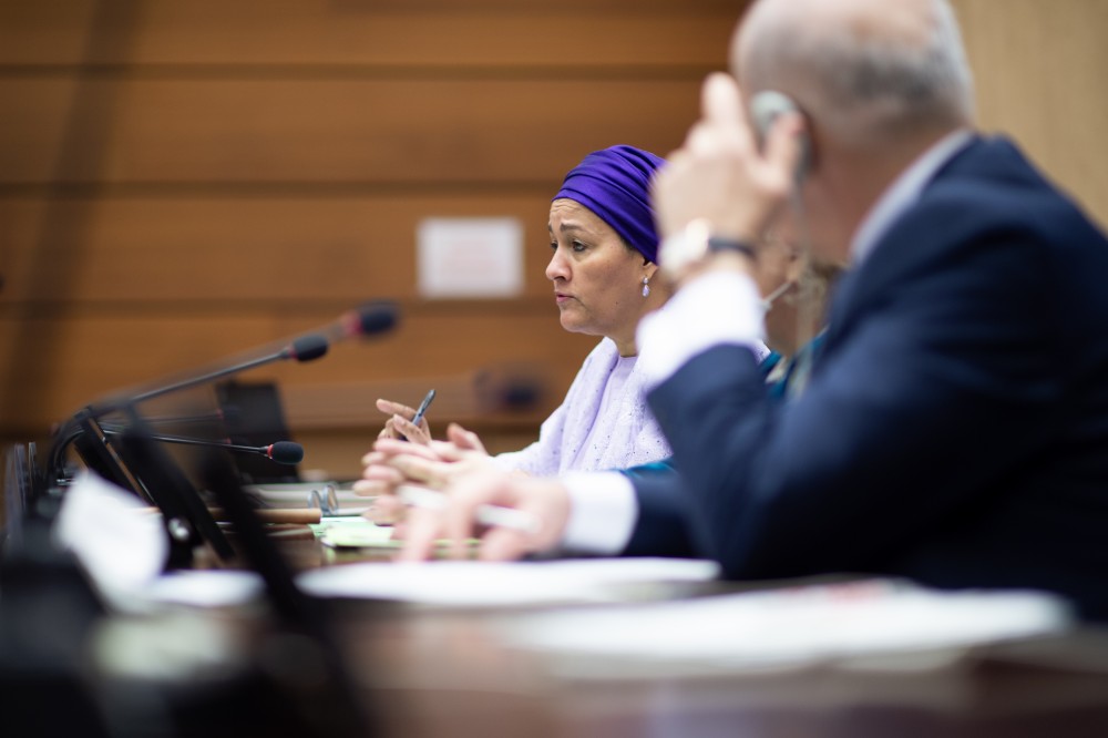  DSG Executive Briefing with Member States 